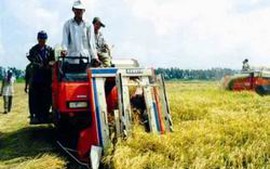 Kiểm tra việc sử dụng máy gặt lúa vùng Đồng bằng sông Cửu Long